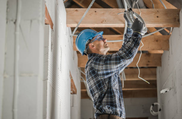 Best Electric Panel Repair  in Clendenin, WV