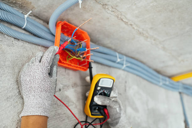 Best Generator Installation Services  in Clendenin, WV
